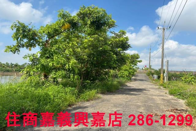 嘉義鹿草農地-9