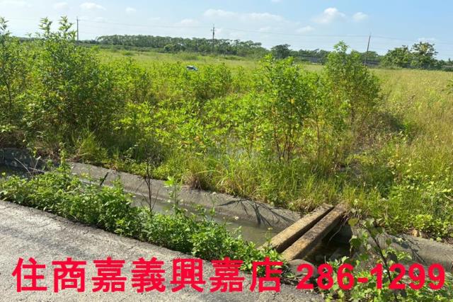 嘉義鹿草農地-5