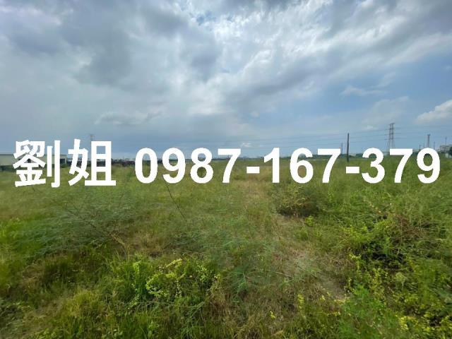 屏東新園農地-2