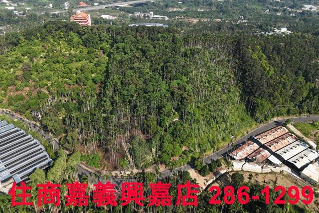 嘉義中埔農地-0