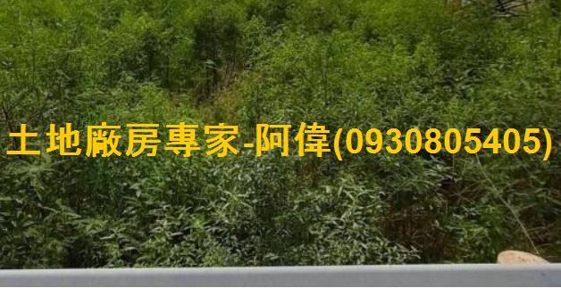 高雄大寮農地-0