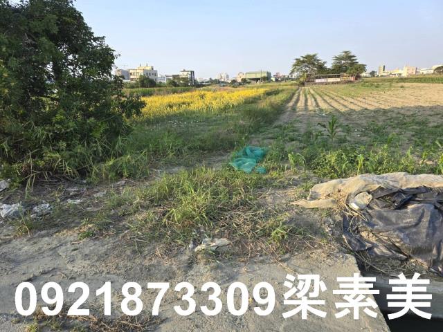 台南永康農地-1