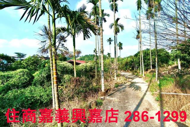 嘉義中埔農地-10