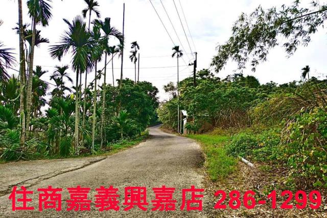 嘉義中埔農地-0