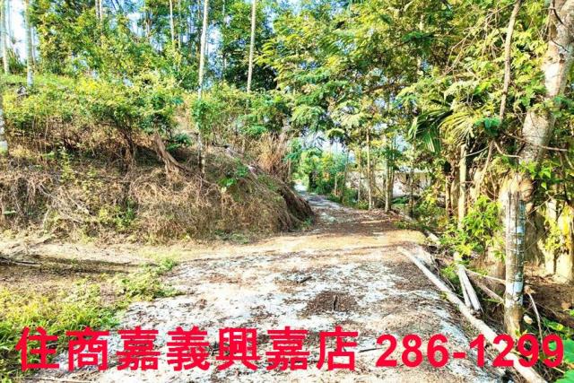 嘉義中埔農地-3