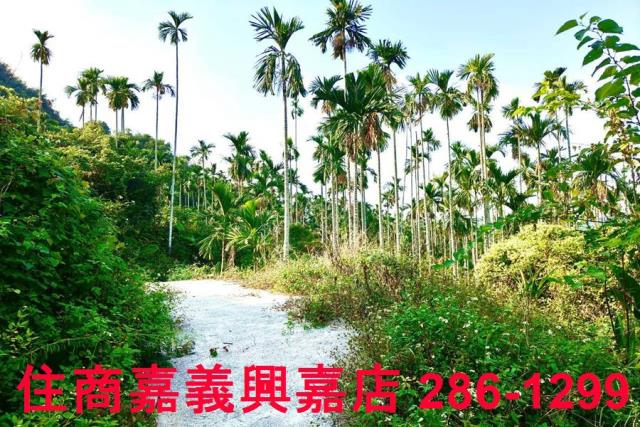 嘉義中埔農地-5