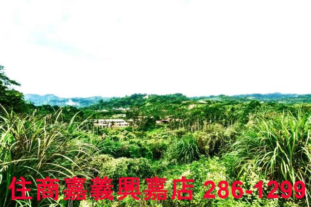 嘉義中埔農地-7