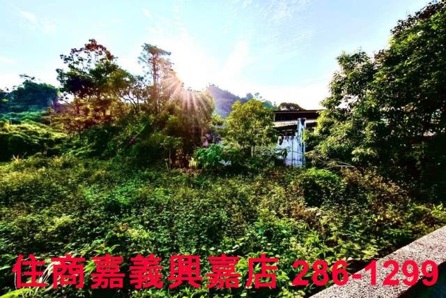 嘉義中埔農地-8