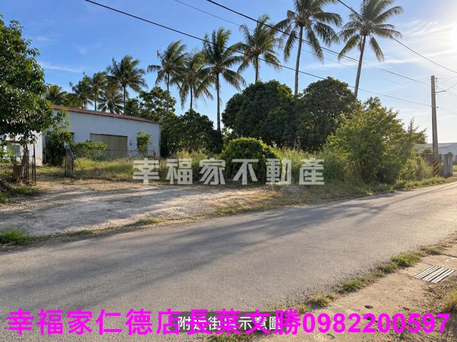 台南仁德農地-14