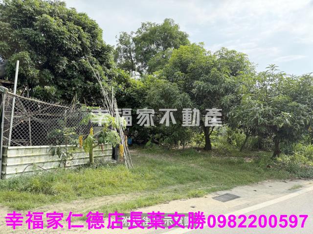 台南關廟農地-0