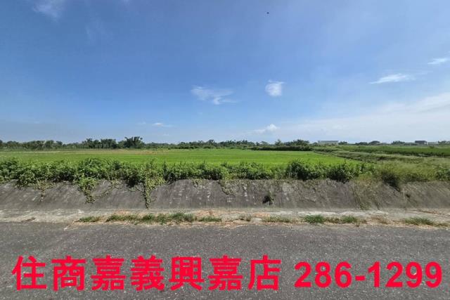 嘉義西區農地-3