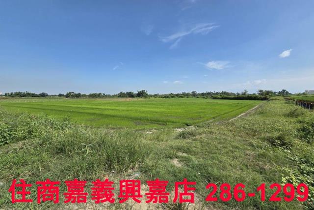嘉義西區農地-5