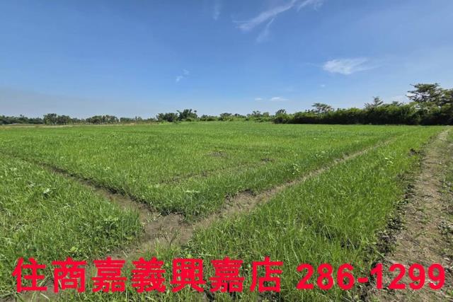 嘉義西區農地-6