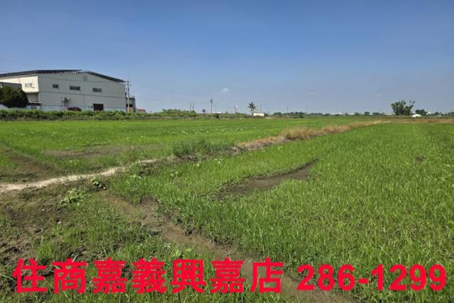 嘉義西區農地-7