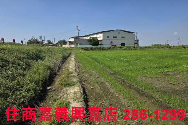 嘉義西區農地-8