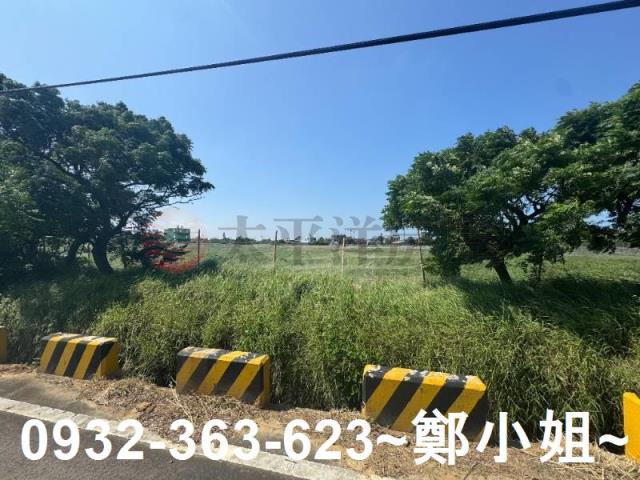 桃園觀音農地-14