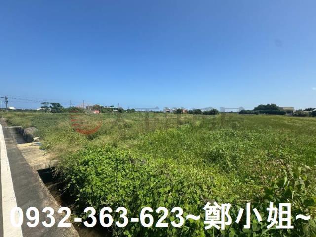 桃園觀音農地-2