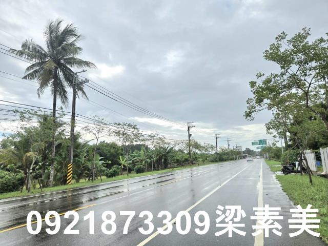 左鎮建地-1