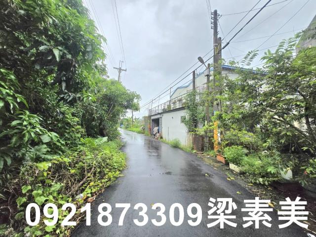 左鎮建地-2
