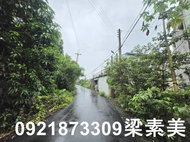 左鎮建地-3