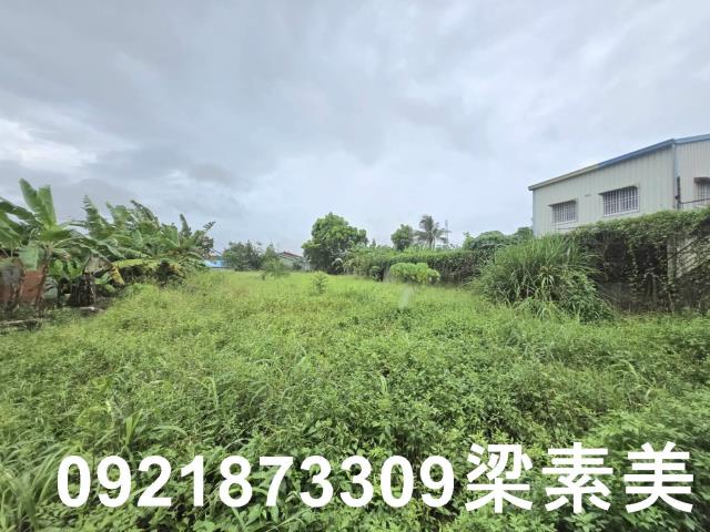 左鎮建地-4