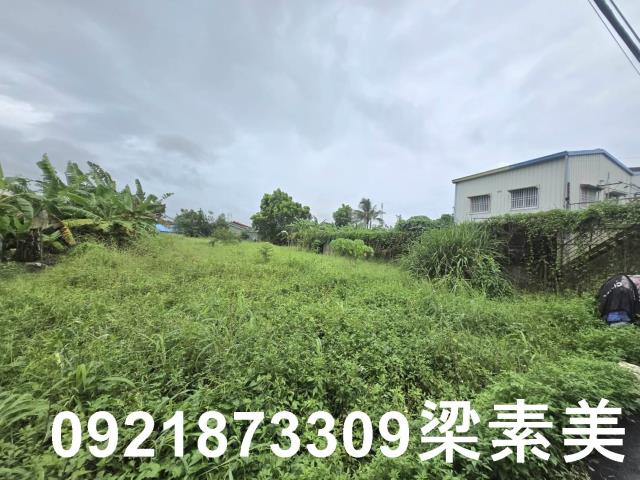 左鎮建地-5
