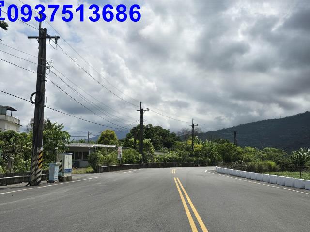 壽豐林地-9