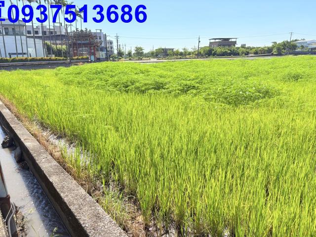 五結農地-2