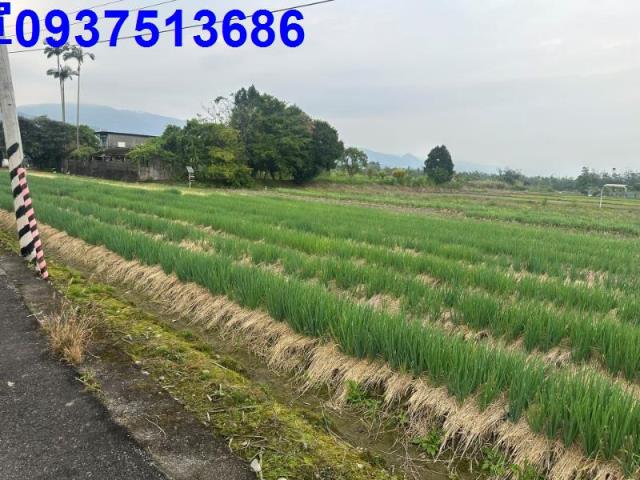 宜蘭縣員山鄉金古段農地出售