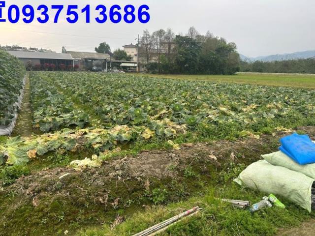 宜蘭農地-1