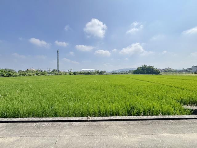 草屯碧興路田地2分2