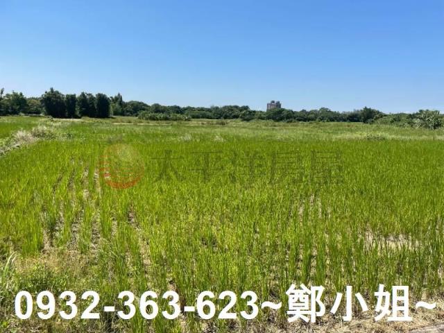 蘆竹農地-0