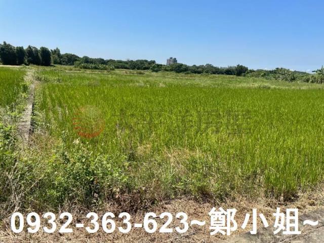蘆竹農地-1