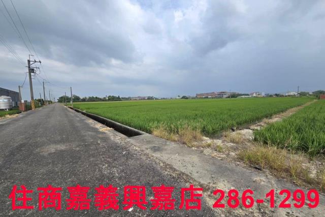 白河農地-0