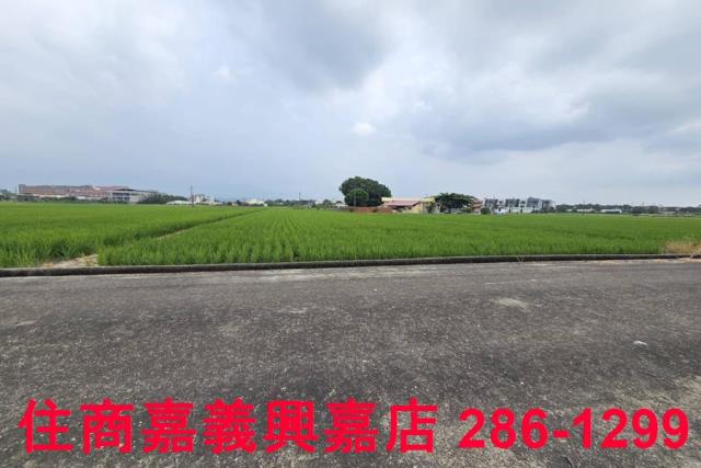白河農地-2