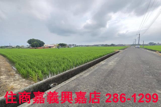 白河農地-5