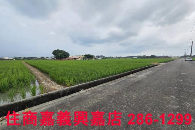 白河農地-7