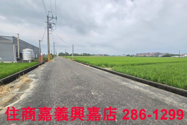 白河農地-8