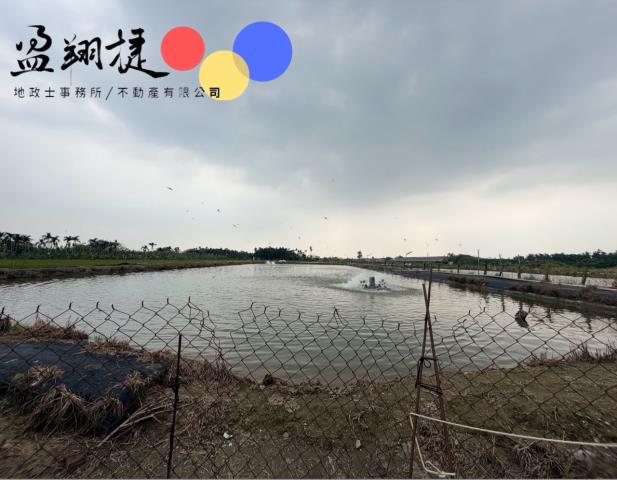 財神爺賽神蝦聚財養殖池
