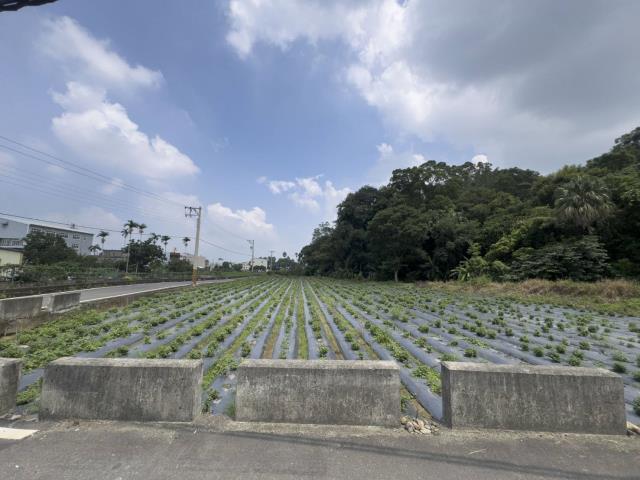 苗栗公館農地出售苗栗農地公館農地苗栗館忠路福星農地投資農地
