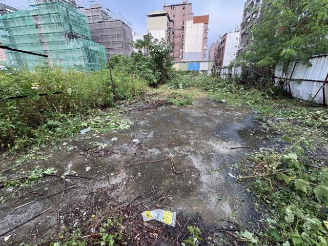 嘉義建地-1