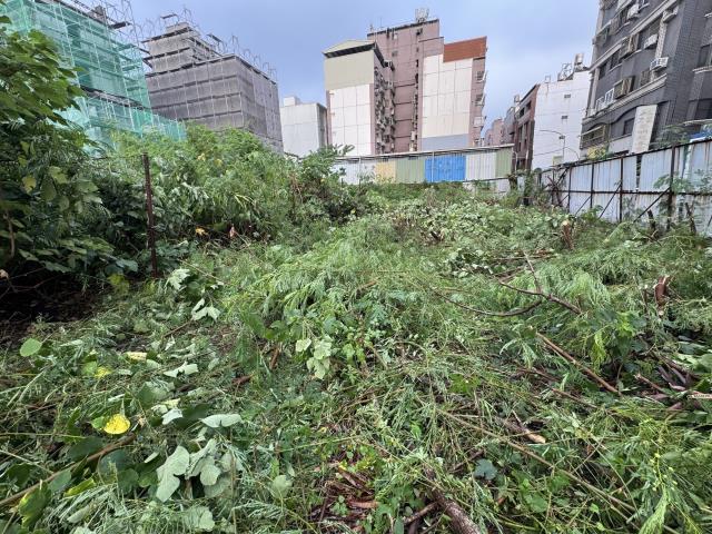 嘉義建地-2