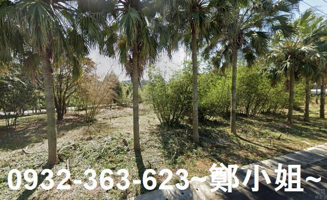 桃園農地-4