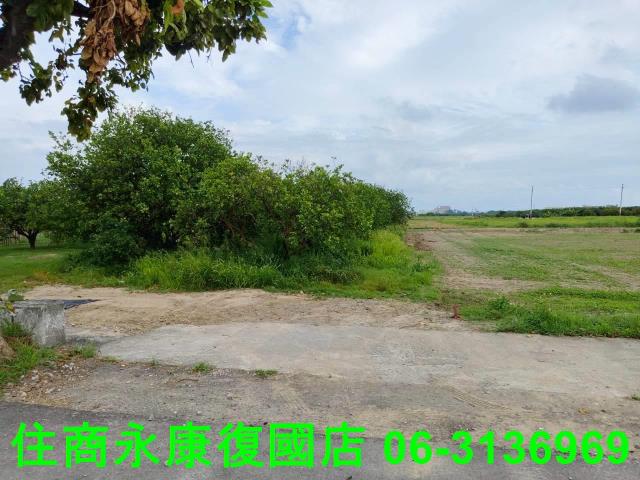 台南佳里農地-2