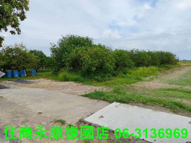 台南佳里農地-3