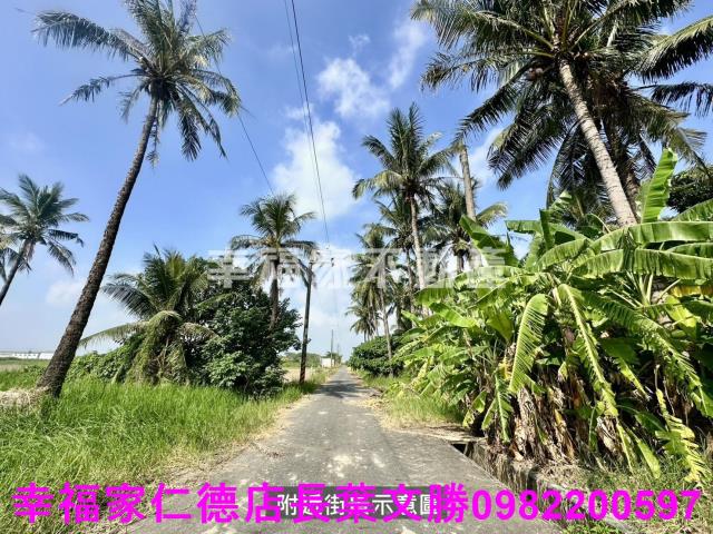 台南西港農地-10