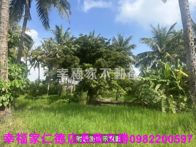 台南西港農地-0