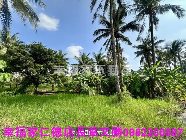 台南西港農地-8