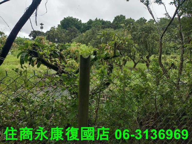 官田農地-10