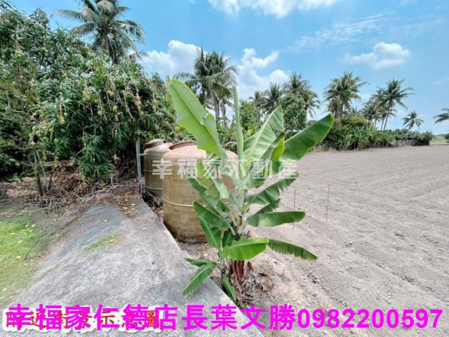 仁德農地-13